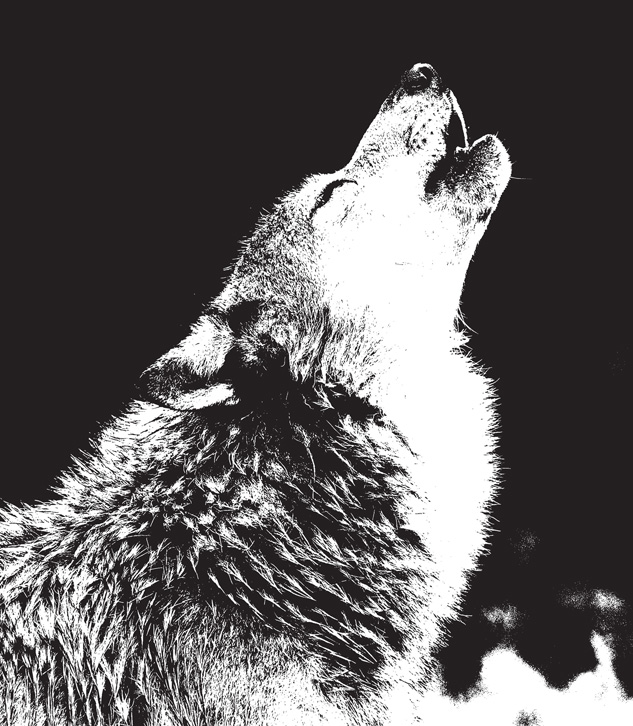 Cutout_Howling-Wolf-Graphic_Merch